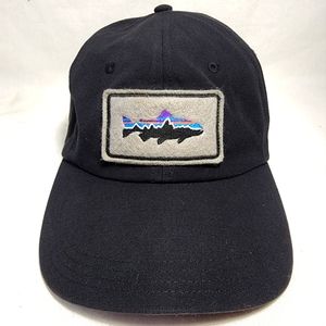 Patagonia Fitz Roy Trout Patch Cap Trucker Hat